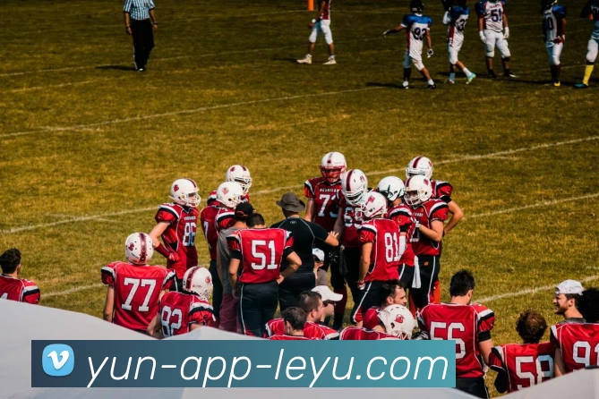 乐鱼官网平台生态图